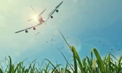 How to Get Flight Compensation