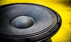 What are the Common Uses of a Stage Monitor Speaker?